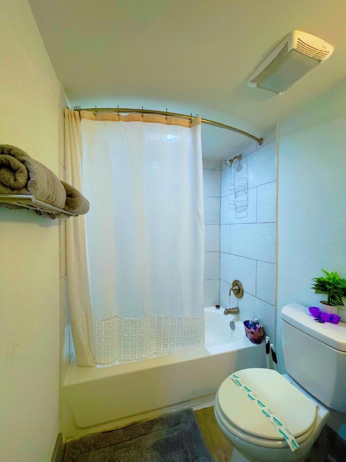 Modern Santorini Suite Houston Nrg Tmc Luxurious Walkable Eksteriør bilde